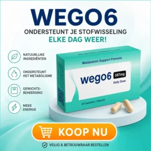 wego6
